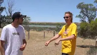 COWabunga baby!!! #pikachu #cattle #shocked #electricfencing #shorts