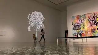 Museum of Fine Arts - Houston (MFAH) entrance exhibit.