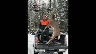 Mitch's 2024 Maine Buck Last Day of Camp