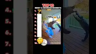 TOP 10 BENNY AND GRANDMA MOMENTS! #funny #grandma #police #top10 #bear #animals #cops