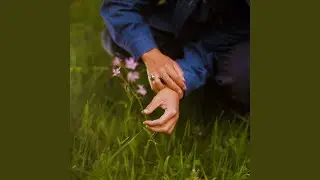 Fields