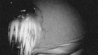Iron Lung | 16mm Short Film