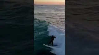 Some great cutbacks! 🤙#shortsfeed #shortsyoutube #shortvideo#youtubeshorts#surfers #shorts