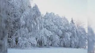 Winter. Beautiful music. Beautiful winter scenery landscapes