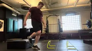 Single Leg Lateral Hurdle Hops to Lateral Box Jump