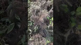 Part 1 This is grim ! UK