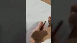 Рисование настоящей стрекозы, разборка монтажа.