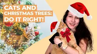 Is the Christmas Tree Hurting Your Cat? How to Keep Them Safe
