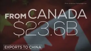 What are Canadian exports to China?