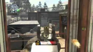 Black Ops: Crazy Multikill Minitage HC Demo.