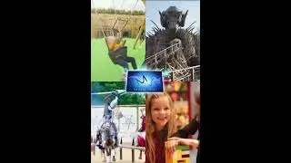 Summer Sorted with Merlin Annual Pass #rollercoaster #themepark #merlinannualpass