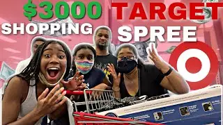 Target Shopping Challenge | No Budget