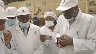Ghana Minister of Business Development learns intricacies of Kenyan tea at Karirana Tea Estates