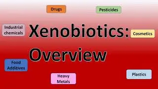 xenobiotics: overview