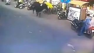 Mo&ograve;ooo summer saulting woman