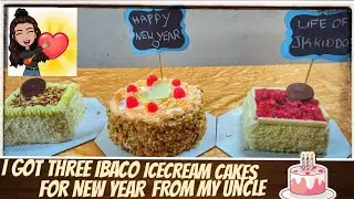 IBACO Icecream cake |Fruit 'N' Blackcurrant |Raspberry Treasure |Dessert Royale Icecream Cake |Tamil