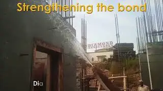 Strengthening the bond | Diamond Excellency