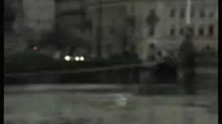 Polish Dynamite Surfing