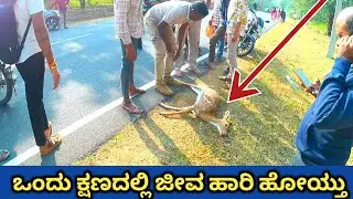 ಒಂದು ಕ್ಷಣದಲ್ಲಿ ಜೀವ ಹಾರಿ ಹೋಯ್ತು ಮಲೆ ಮಹದೇಶ್ವರ ಬೆಟ್ಟ ಮುಖ್ಯ ರಸ್ತೆ male mahadeshwara Hills 