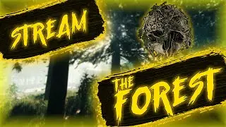 STREAM__ ! ! ! FOREST ! ! ! __ ! ! ! ВЕЧЕРНИЙ  СТРИМ  С  ERMAK PLAY  ! ! ! .