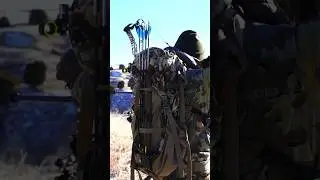 110 Yard shot on mule deer with a bow