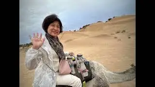 Sahara Desert Camel Ride Douz Tunisia 15/12/2025