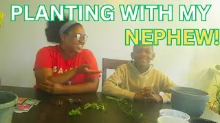 Planting Experiment with my Nephew