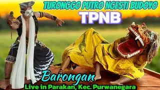Pentulan dan Barongan || TURONGGO PUTRO NGESTI BUDOYO || TPNB. Live in Parakan, Purwanegara.