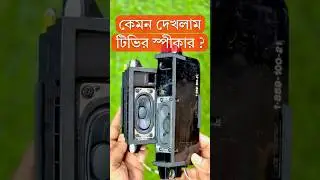 How is the performance of the TV speakers?