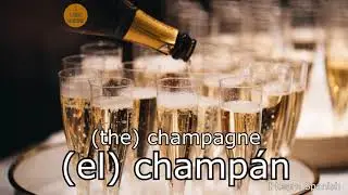 Spanish Vocabulary | Alcoholic Drinks | I Learn Spanish