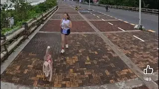FULL COLOURS 3km DOG FUN RUN 2025