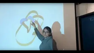 Dynamics and Topology of the Minimal Set of Kuperberg&acute;s Plug (Ana Rechtman)