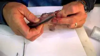 Shad Foam Bait