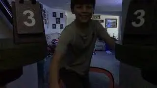 Mini sticks new guest