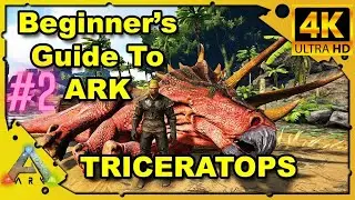 😱EASIEST TRIKE TAMING GUIDE🔥 PERFECT FOR BEGINNERS!⚡