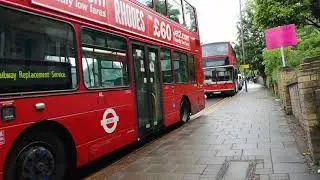 Buses at Crystal Palace Stop M