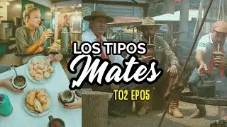 LOS TIPOS DE MATES