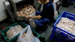 So Juicy ! Crispy Deep Fried Chicken Drumstick, Wing, Piece Making / 炸雞腿,翅,排製作 &ndash; Taiwan Street Food