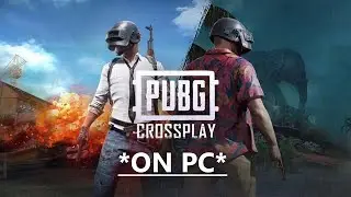 PUB G - How to Play Crossplay with console players using STADIA On PC
