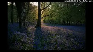 Andante from Antonio Vivaldi Concerto a due Chori in B-flat Major 