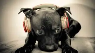 Aron Scott feat  Farisha -  Rewind (Sensitive! Remix) free
