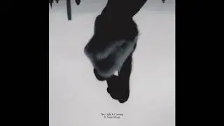 Ariana Grande feat. Nicki Minaj - The Light Is Coming (without vocal sample)