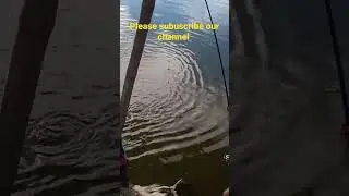 Big Ruh fish hunting