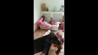 CARLOS EN FEDRA WEER HEERLIJK AAN HET RAVOTTEN !!!