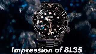 8L35を2本、長期間使っての率直な感想とMM300のオーバーホールをどうするか？