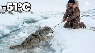 Alaska -51°C | Boy and his wolf build shelter to protect themselves from the intense blizzard