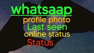 WhatsAap Status, Last seen, online status, profile photo Hide daih dan