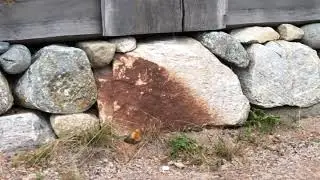 The TRUE meaning of stone foundations