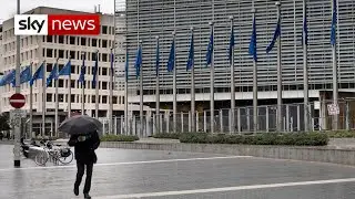 EU introduces controls on vaccine exports to Northern Ireland