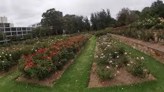 The beautiful Veale Gardens